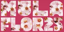 MulaFlor